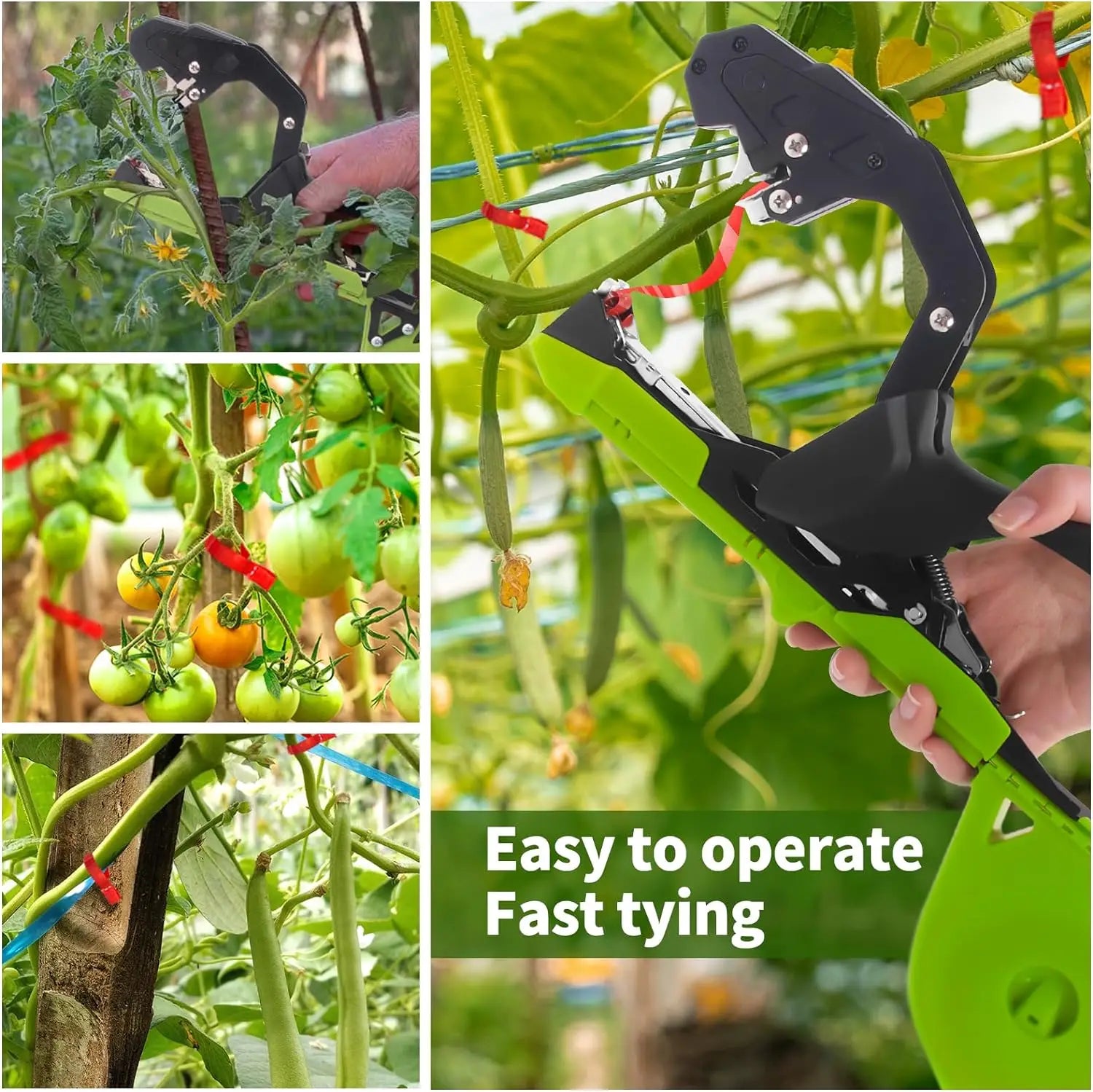 Attache-plantes portatif avec ruban de fixation pour vignes de jardin