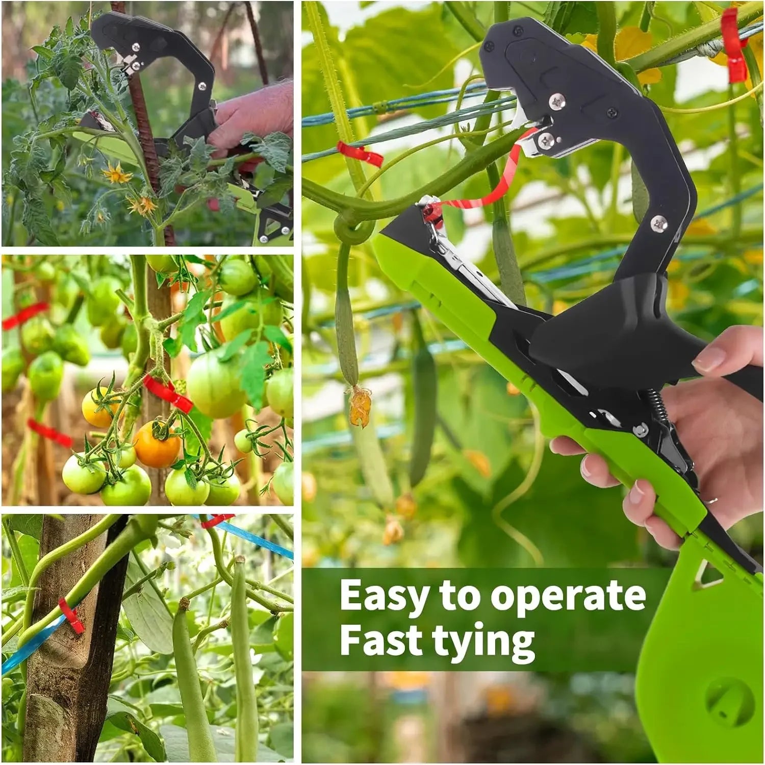 Attache-plantes portatif avec ruban de fixation pour vignes de jardin
